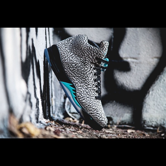 jordan lab 5 elephant